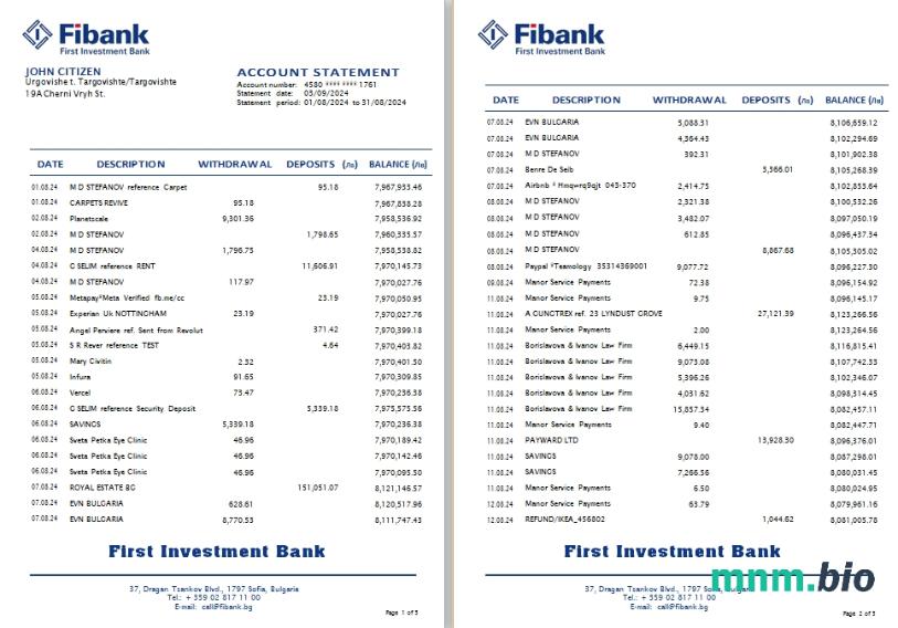 Szablon wyciągu bankowego Brunei HSBC w programie Word i PDF